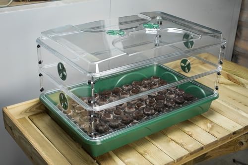 EarlyGrow 24" x 15" x 12.75" Domed Propagator with 2 Height Extenders and Locking Clip Set, Green - Image 6