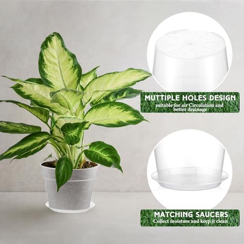 Baderke 3 Pack Clear Nursery Pot,13.65 Inch - Image 4