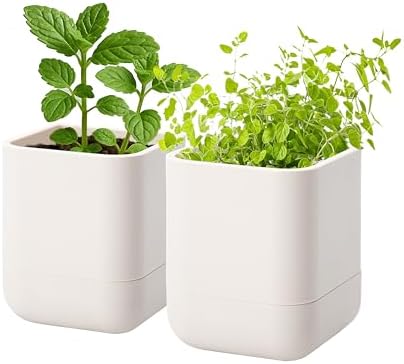 Phoenix Vine 3.5 Inch Wall Mounted Self-Watering Planter Pot for Indoor Houseplants and Herbs | Hanging Planter for Window Sills, Bathroom Walls, Home & Office Décor, Oatmeal, Set of 2, 01-A-G-2 by Phoenix+Vine