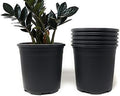 Wholesale Nursery Pot in Bulk 30-Pack 2 Gallon 9 Inch Plastic Planters for Outdoor Indoor Plants Gardening Flower Pots with Drainage Holes Color Black by CottaPlanters