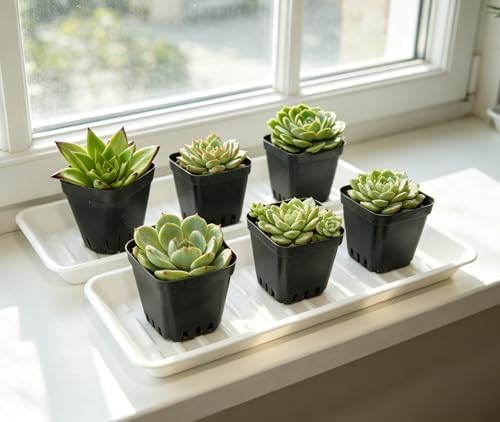 4 Pack Plastic Plant Tray Saucer Rectangular 17 18 Inch, Planter Trays Saucers for Indoor Outdoor, Plant Water Drip Trays, Windowsill, 7.7 x 17.5 Inches, White - Image 3