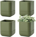 Phoenix Vine 4.5 Inch Wall Mounted Self-Watering Planter Pot for Indoor Houseplants and Herbs | Hanging Planter for Window Sills, Bathroom Walls, Home & Office Décor, Olive, Set of 4, 01-B-F-4 by Phoenix+Vine