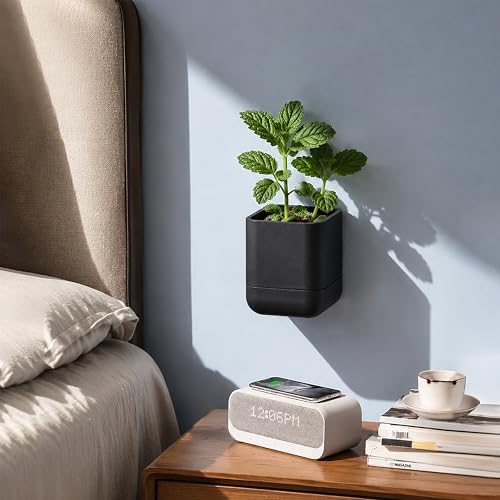 Phoenix Vine 3.5 Inch Wall Mounted Self-Watering Planter Pot for Indoor Houseplants and Herbs | Hanging Planter for Window Sills, Bathroom Walls, Home & Office Décor, Black, Set of 4, 01-A-E-4 - Image 2