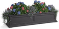 Mayne Fairfield 48in Self-Watering Rectangular Window Box Planter, Gray by Mayne