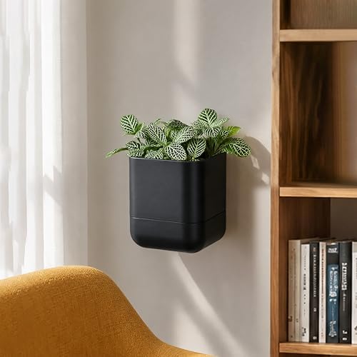Phoenix Vine 4.5 Inch Wall Mounted Self-Watering Planter Pot for Indoor Houseplants and Herbs | Hanging Planter for Window Sills, Bathroom Walls, Home & Office Décor, Black, Set of 4, 01-B-E-4 - Image 2