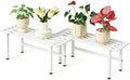 Dipion 2 Pack Metal Plant Stands Outdoor Indoor,1 Tier Plant Bench,White by Dipion