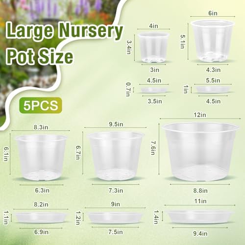 12/10/8/6/4 Inch Clear Nursery Pots with Drainage and Saucers, 20 Pack Large Clear Plastic Nursery Pots for Plants, Seedling Plant Pots for Repotting and Growing Plants, Flowers & Vegetables - Image 2
