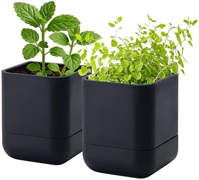 Phoenix Vine 3.5 Inch Wall Mounted Self-Watering Planter Pot for Indoor Houseplants and Herbs | Hanging Planter for Window Sills, Bathroom Walls, Home & Office Décor, Black, Set of 2, 01-A-E-2 by Phoenix+Vine