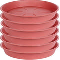 OVZILKI 6 Pack of Plant Saucer Tray 4 6 8 10 12 14 17 19 22 25 inch, Heavy Duty Plastic Pot Plant Drip Trays Saucers for Indoors Outdoor, Plant Water Tray for Planters 4-7" (6", Clay) by OVZILKI