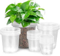 FUIJOL 50 Pack 3/4/5/6/7 Inch Clear Nursery Pots with Drainage Holes by FUIJOL