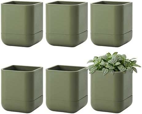 Phoenix Vine 3.5 Inch Wall Mounted Self-Watering Planter Pot for Indoor Houseplants and Herbs | Hanging Planter for Window Sills, Bathroom Walls, Home & Office Décor, Olive, Set of 6, 01-A-F-6 by Phoenix+Vine