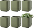 Phoenix Vine 3.5 Inch Wall Mounted Self-Watering Planter Pot for Indoor Houseplants and Herbs | Hanging Planter for Window Sills, Bathroom Walls, Home & Office Décor, Olive, Set of 6, 01-A-F-6 by Phoenix+Vine