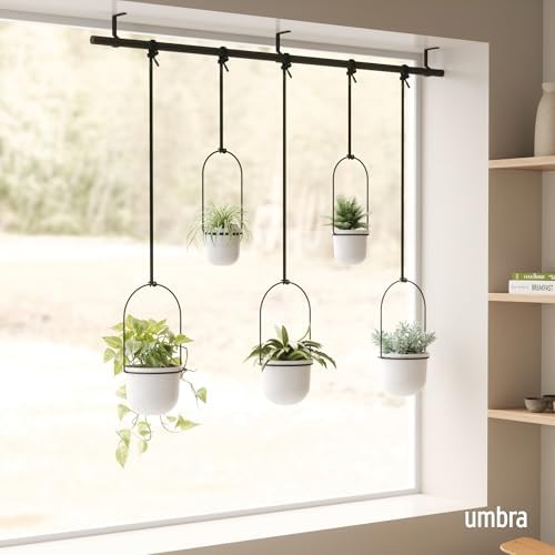 Umbra Triflora Hanging Planter, Window Herb Garden, Set of 5, White/Black - Image 2
