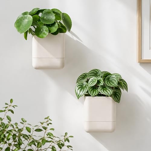 Phoenix Vine 4.5 Inch Wall Mounted Self-Watering Planter Pot for Indoor Houseplants and Herbs | Hanging Planter for Window Sills, Bathroom Walls, Home & Office Décor, Oatmeal, Set of 4, 01-B-G-4 - Image 6