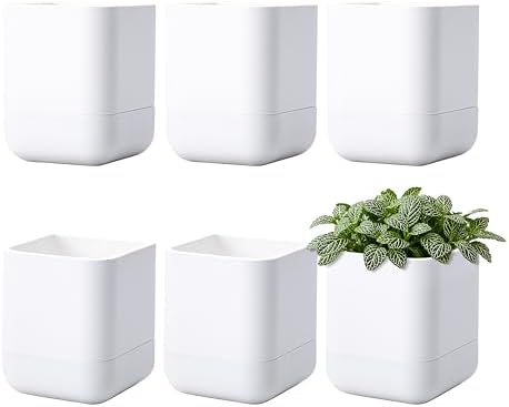 Phoenix Vine 3.5 Inch Wall Mounted Self-Watering Planter Pot for Indoor Houseplants and Herbs | Hanging Planter for Window Sills, Bathroom Walls, Home & Office Décor, White, Set of 6, 01-A-D-6 by Phoenix+Vine