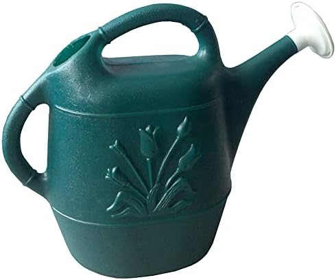 Union Products Watering Can, 2 Gallon Plastic Gardening Water Jug with 2 Handles for Garden, Indoor Plants, and Outdoor Flower Pots, Green by GameMasterAthletic