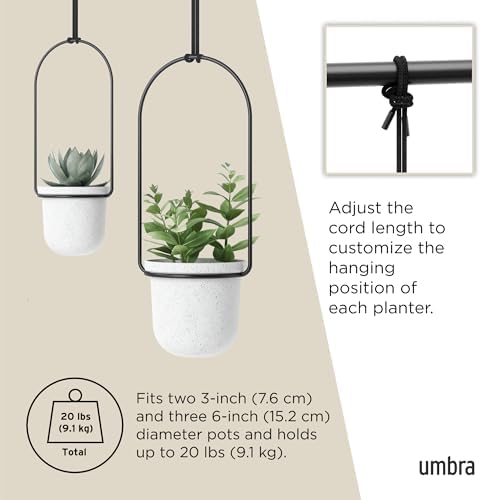 Umbra Triflora Hanging Planter, Window Herb Garden, Set of 5, White/Black - Image 5