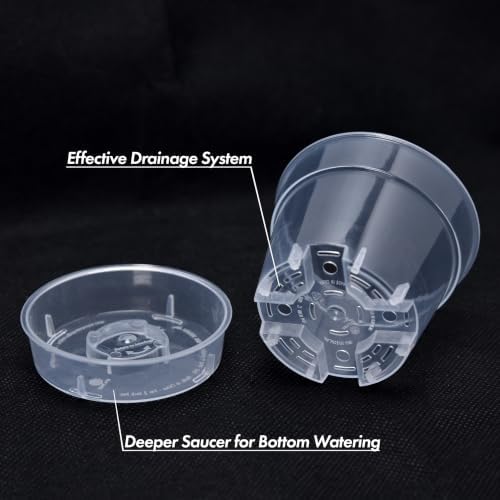 3 Inch Clear Plastic Plant Pot with Drainage Holes, Interlocking & Detachable Tray - Deep Saucer - Durable BPA-Free Plastic, Transparent Design, Raised Base for Airflow, Set of 12, 92-X-B-1 - Image 5