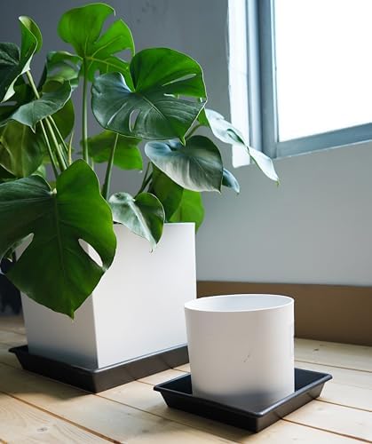 NIMYAU Square Plant Saucer 6 Inch 5 Pack6 8 12 14 16 18 20 Heavy Duty Plastic Plant Saucers for Indoors Outdoors, Plant Trays for Pots, Flower Pot No Holes Plant Drip Trays - Image 4