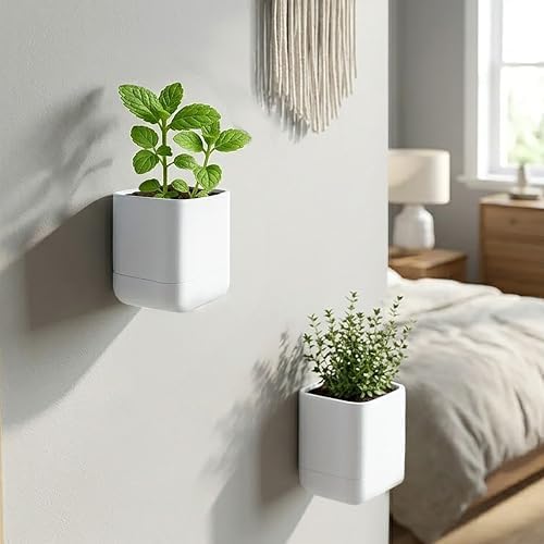 Phoenix Vine 3.5 Inch Wall Mounted Self-Watering Planter Pot for Indoor Houseplants and Herbs | Hanging Planter for Window Sills, Bathroom Walls, Home & Office Décor, White, Set of 4, 01-A-D-4 - Image 2