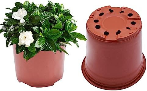 100 PCS 6.7 Inches Plastic Plant Nursery Pots, Reusable for Succulents, Seedlings, Cuttings, Transplanting,Seedlings Plastic Plant Pots with Drainage Holes by mitoharet