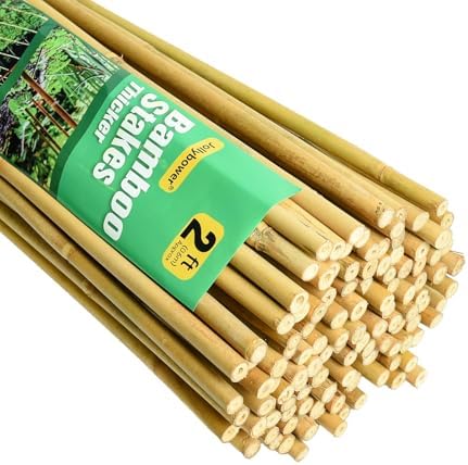 Jollybower 3/10" D 2 Feet Bamboo Stakes 50 Pack, Thicker Heavy-Duty Plant Stakes, Natural Garden Stakes for Bean, Tomato, Bean, Flowers,Trees Potted and Climbing Plant Support by Jollybower