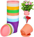 ADXCO 16 Pack 4 Inch Plastic Planters Assorted Flower Plant Pots Seedling Nursery Pots with Tray, Outdoor Indoor Plants for Seedling, Transplanting, Cutting, 8 Colors, Multicolor (AX1772) by ADXCO