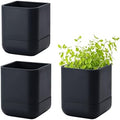 Phoenix Vine 3.5 Inch Wall Mounted Self-Watering Planter Pot for Indoor Houseplants and Herbs | Hanging Planter for Window Sills, Bathroom Walls, Home & Office Décor, Black, Set of 3, 01-A-E-3 by Phoenix+Vine