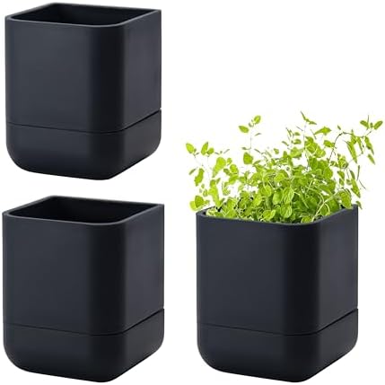 Phoenix Vine 3.5 Inch Wall Mounted Self-Watering Planter Pot for Indoor Houseplants and Herbs | Hanging Planter for Window Sills, Bathroom Walls, Home & Office Décor, Black, Set of 3, 01-A-E-3 by Phoenix+Vine