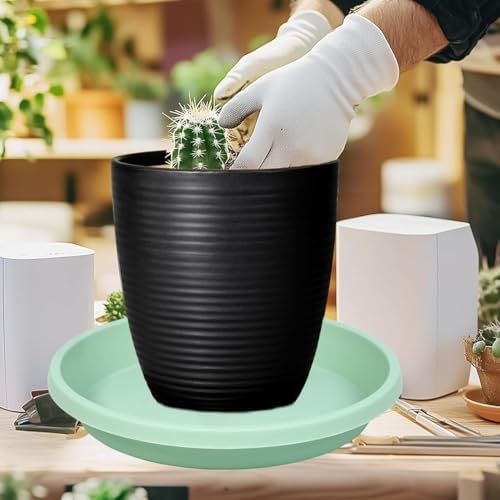NIMYAU Plastic Plant Saucers 10 Inch Round Pack of 2 Thick Reusable Drip Trays for Indoor Outdoor Plants - Image 6