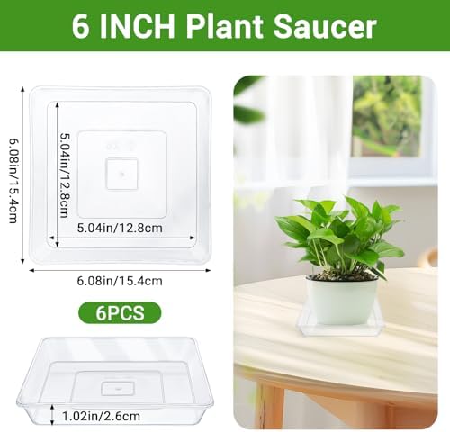 Greaner 6 Inch Square Plant Saucer, 6 PCS Plastic Tray for Pot-Fits Planters Up to 5″ Bottom Diameter, Durable Thick Flower Pot Plant Drip No Holes for Indoor Outdoor Planter(Clear) - Image 2