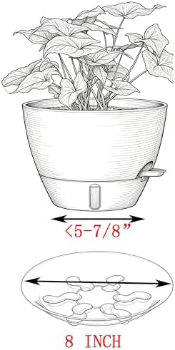 5 Pack 8 inch Heavy Duty Clear Plastic Plant Saucer Sturdy Pot Tray Plant Trays Drip Trays for pots,Plate Water Catcher,Flower Pot Saucer Water Drainage Tray Floor Protector(8") - Image 3