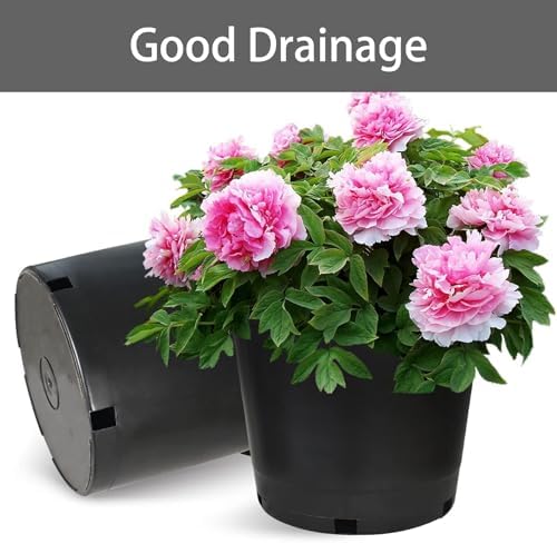 25 Gallon Plant Nursery Pot 5-Pack 25 Gallon Plastic Garden Planter Pots Flower Seedling Injection Molded Container Seed Starting Pot Set for Indoor Outdoor Plants Seedlings Vegetables Black - Image 4
