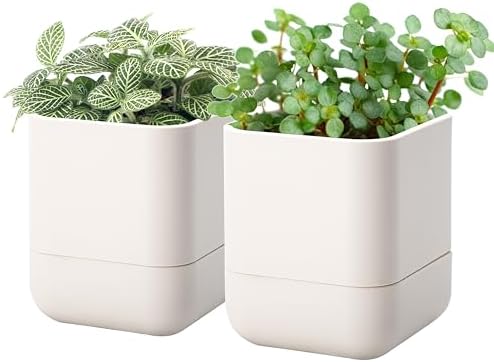 Phoenix Vine 4.5 Inch Wall Mounted Self-Watering Planter Pot for Indoor Houseplants and Herbs | Hanging Planter for Window Sills, Bathroom Walls, Home & Office Décor, Oatmeal, Set of 2, 01-B-G-2 by Phoenix+Vine