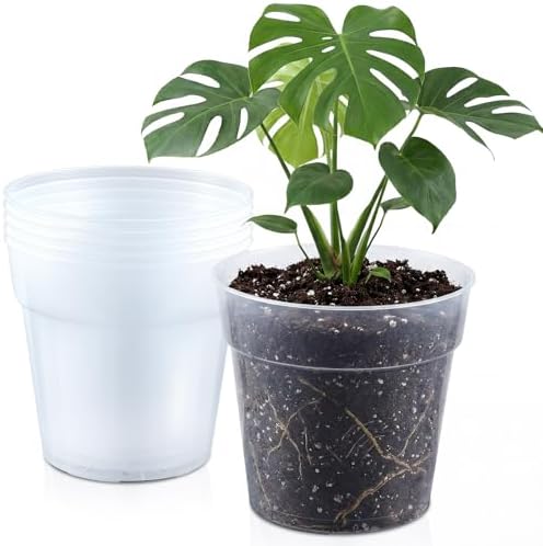Vesici 6 Pcs 12 Inch Large Thickened Clear Nursery Pots by Vesici