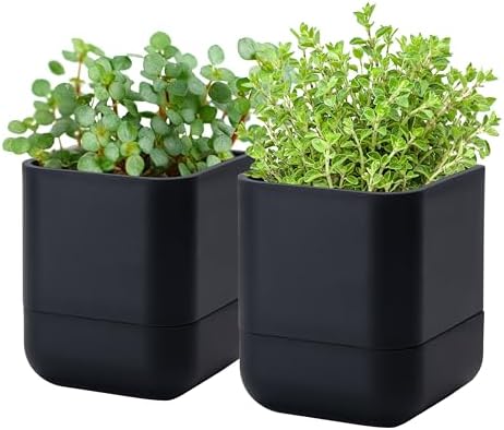 Phoenix Vine 4.5 Inch Wall Mounted Self-Watering Planter Pot for Indoor Houseplants and Herbs | Hanging Planter for Window Sills, Bathroom Walls, Home & Office Décor, Black, Set of 2, 01-B-E-2 by Phoenix+Vine