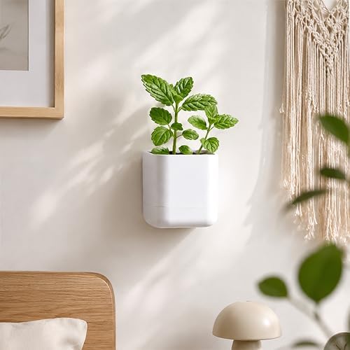 Phoenix Vine 3.5 Inch Wall Mounted Self-Watering Planter Pot for Indoor Houseplants and Herbs | Hanging Planter for Window Sills, Bathroom Walls, Home & Office Décor, White, Set of 2, 01-A-D-2 - Image 4