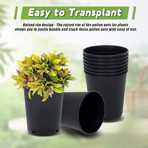 HOSTIC 5 Gallon Flexible Nursery Pots Gallon Pot with Drainage Holes Plastic Plant Container Suitable for Indoor Outdoor Vegetables Flowers Plants 10 PCS - Image 5
