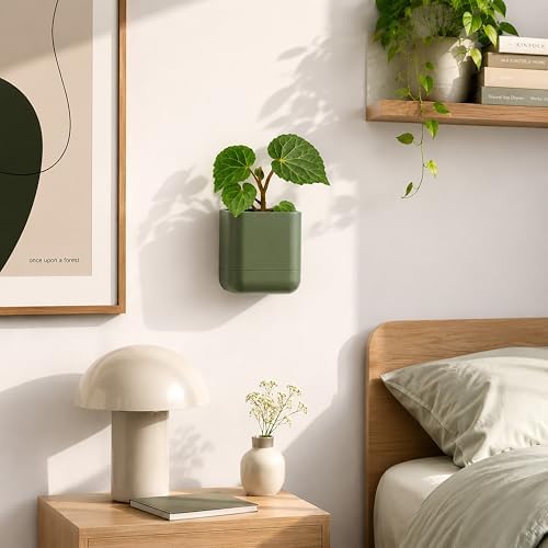 Phoenix Vine 3.5 Inch Wall Mounted Self-Watering Planter Pot for Indoor Houseplants and Herbs | Hanging Planter for Window Sills, Bathroom Walls, Home & Office Décor, Olive, Set of 1, 01-A-F-1 - Image 6