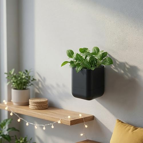 Phoenix Vine 4.5 Inch Wall Mounted Self-Watering Planter Pot for Indoor Houseplants and Herbs | Hanging Planter for Window Sills, Bathroom Walls, Home & Office Décor, Black, Set of 3, 01-B-E-3 - Image 7