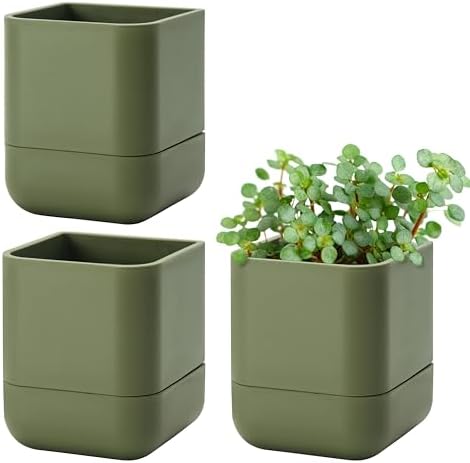 Phoenix Vine 4.5 Inch Wall Mounted Self-Watering Planter Pot for Indoor Houseplants and Herbs | Hanging Planter for Window Sills, Bathroom Walls, Home & Office Décor, Olive, Set of 3, 01-B-F-3 by Phoenix+Vine