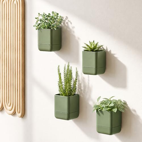Phoenix Vine 4.5 Inch Wall Mounted Self-Watering Planter Pot for Indoor Houseplants and Herbs | Hanging Planter for Window Sills, Bathroom Walls, Home & Office Décor, Olive, Set of 4, 01-B-F-4 - Image 2