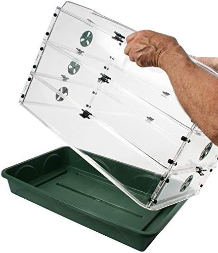 EarlyGrow 95457 24" x 15" x 16.75" Domed Propagator, Green, 3 Side Extenders and Locking Clip Set - Image 5