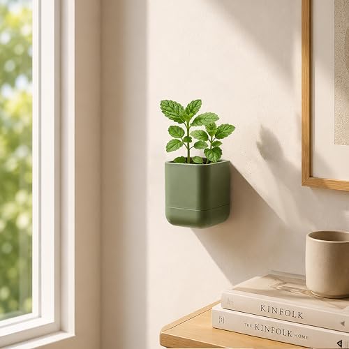 Phoenix Vine 3.5 Inch Wall Mounted Self-Watering Planter Pot for Indoor Houseplants and Herbs | Hanging Planter for Window Sills, Bathroom Walls, Home & Office Décor, Olive, Set of 3, 01-A-F-3 - Image 6