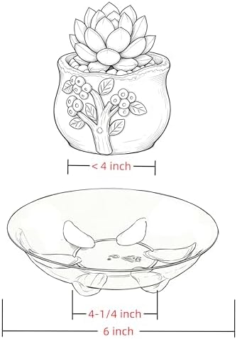 ZZPYXIA 5 Pack Clear Small Tray for Succulent planters Plastic Plant Saucer Sturdy Pot Tray,Plant Water Catcher Clear Thick Plastic Plant Sturdy Saucer Drip Trays for pots (6 INCH) - Image 3