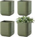 Phoenix Vine 3.5 Inch Wall Mounted Self-Watering Planter Pot for Indoor Houseplants and Herbs | Hanging Planter for Window Sills, Bathroom Walls, Home & Office Décor, Olive, Set of 4, 01-A-F-4 by Phoenix+Vine