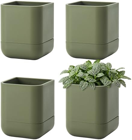 Phoenix Vine 3.5 Inch Wall Mounted Self-Watering Planter Pot for Indoor Houseplants and Herbs | Hanging Planter for Window Sills, Bathroom Walls, Home & Office Décor, Olive, Set of 4, 01-A-F-4 by Phoenix+Vine