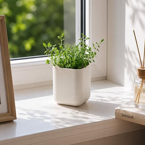 Phoenix Vine 3.5 Inch Wall Mounted Self-Watering Planter Pot for Indoor Houseplants and Herbs | Hanging Planter for Window Sills, Bathroom Walls, Home & Office Décor, Oatmeal, Set of 4, 01-A-G-4 - Image 7