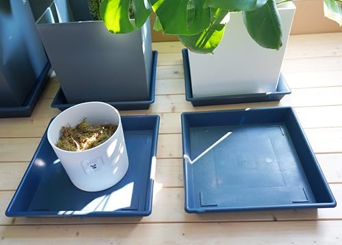 NIMYAU Square Plant Saucer 6 Inch 5 Pack6 8 12 14 16 18 20 Plant Trays for Pots, Flower Pot No Holes Plant Drip Trays,Heavy Duty Plastic Plant Saucers for Indoors Outdoors - Image 5