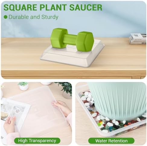 Greaner Clear Plant Plates to Catch Water, 12 Inch Durable Thick Saucer for Flower Pot, Square Plant Saucer Plant Trays for Pots, Flower Pot Saucers to Catch Water Drip Tray(6 Packs) - Image 3